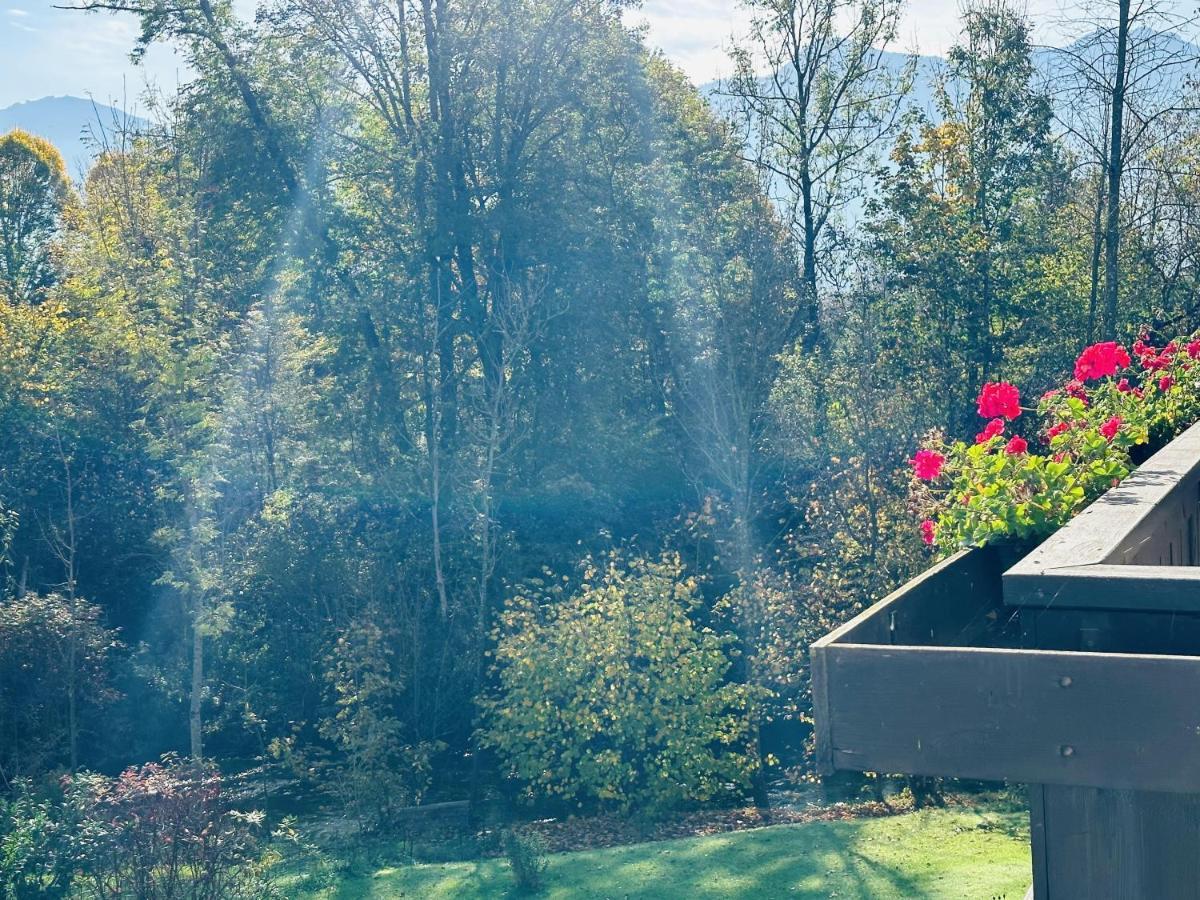 Ferienwohnungen Bachblick Übersee エクステリア 写真